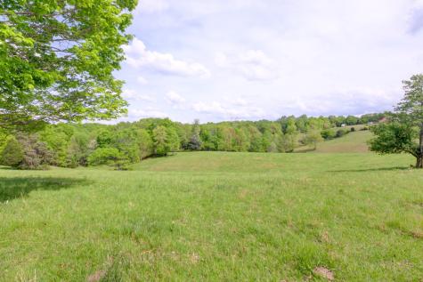 3915 Oak Ridge Road Palmyra TN 37142
