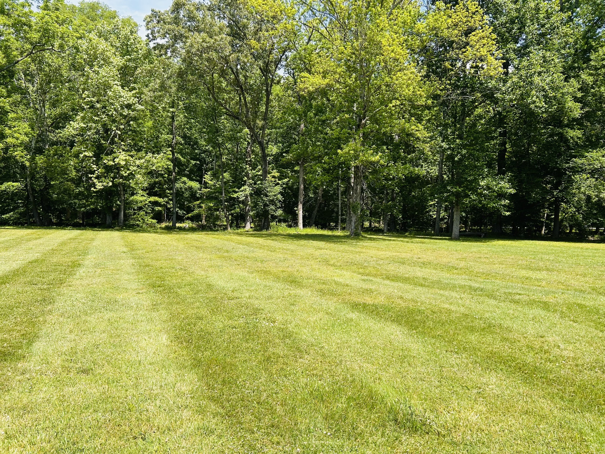 1301 Sycamore Drive Manchester TN 37355
