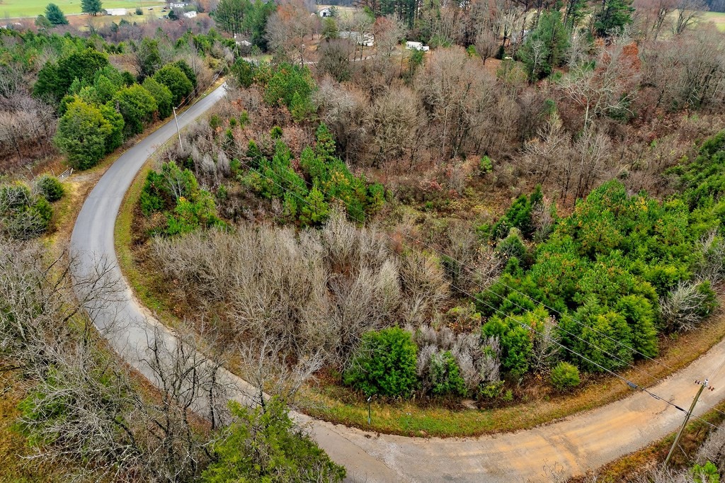 0 N Center Point Acres Walling TN 38587