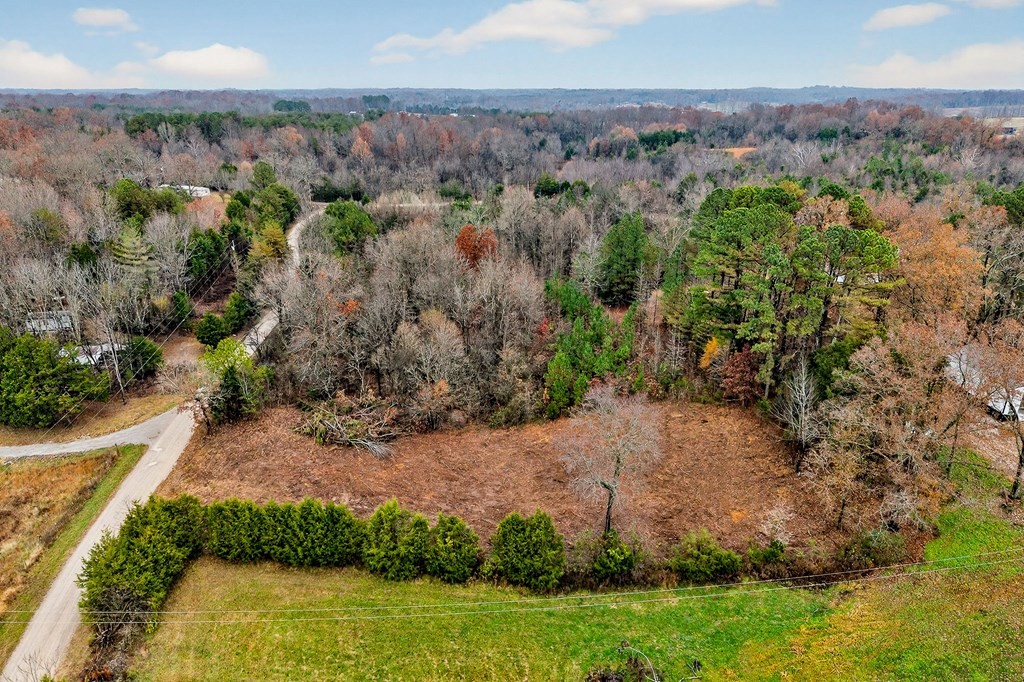 0 N Center Point Acres Walling TN 38587