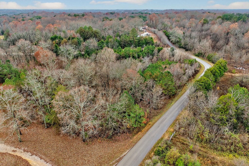 0 N Center Point Acres Walling TN 38587