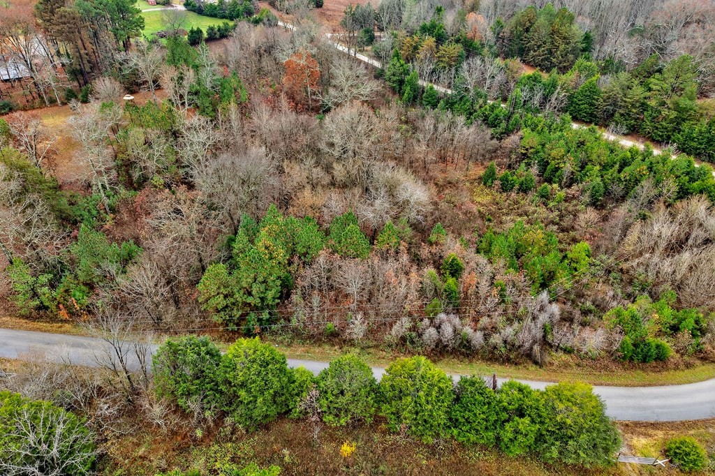 0 N Center Point Acres Walling TN 38587