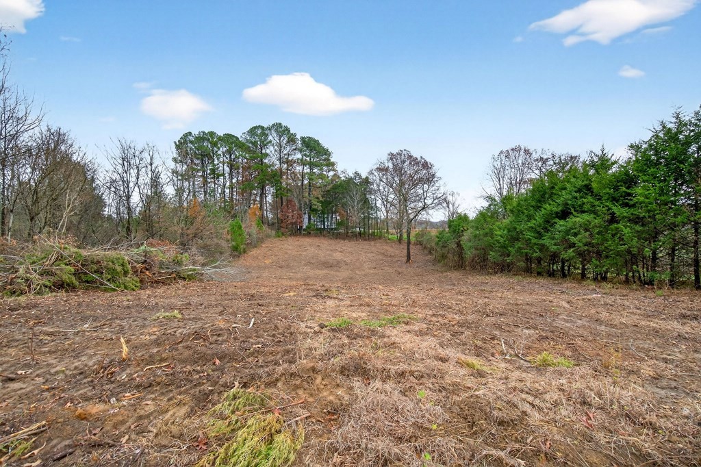 0 N Center Point Acres Walling TN 38587