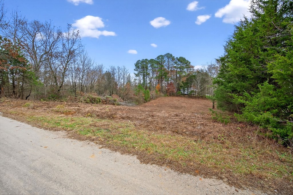 0 N Center Point Acres Walling TN 38587