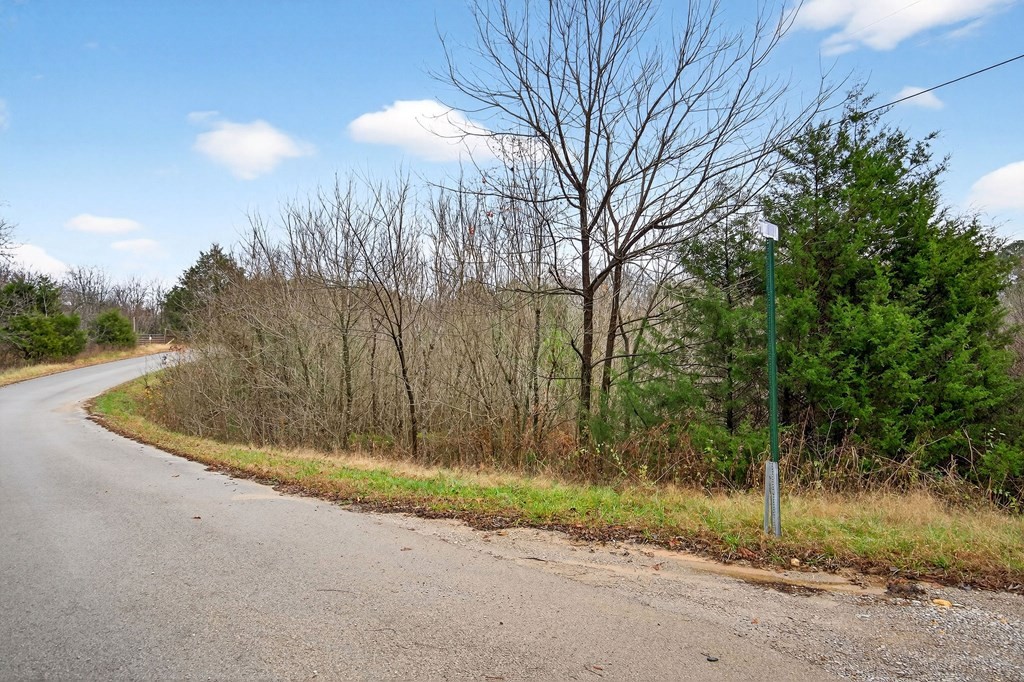 0 N Center Point Acres Walling TN 38587