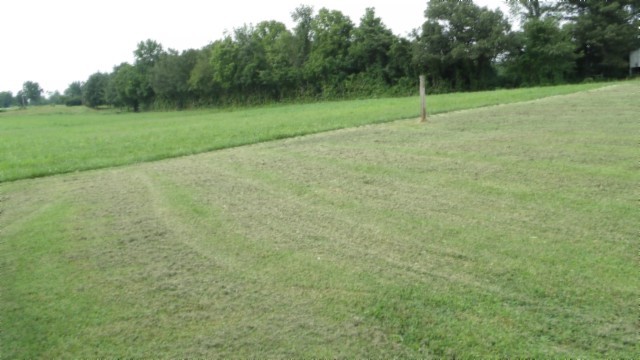 11500 Clay County Highway Moss TN 38575