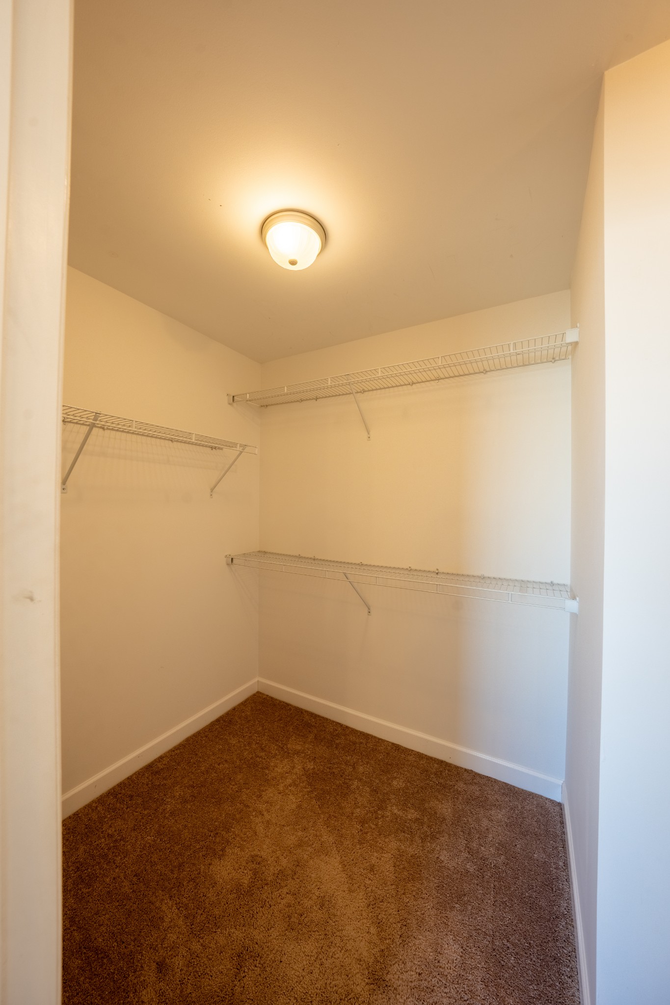 1808 Luke Court Columbia TN 38401