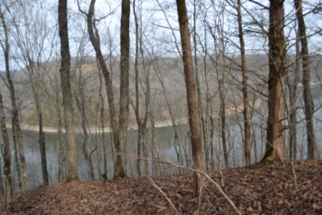 0 Garrett Town Lane Monroe TN 38573