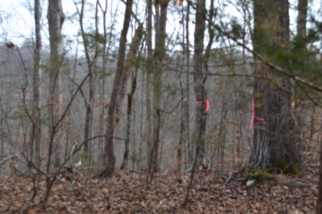 0 Garrett Town Lane Monroe TN 38573