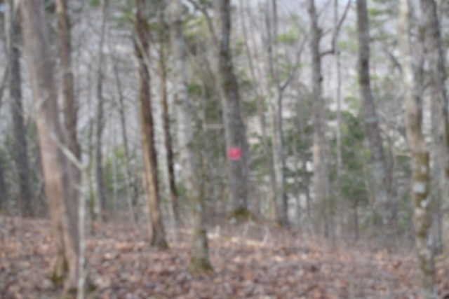 0 Garrett Town Lane Monroe TN 38573