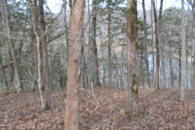 0 Garrett Town Lane Monroe TN 38573