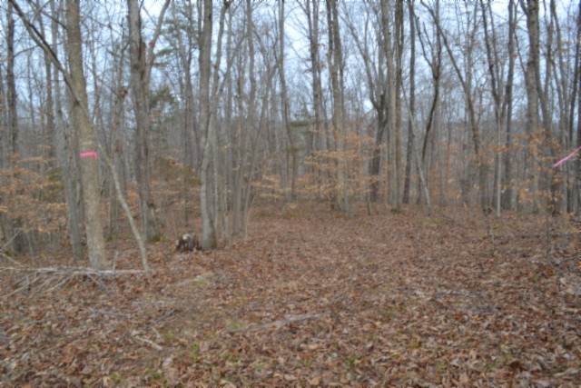 0 Garrett Town Lane Monroe TN 38573