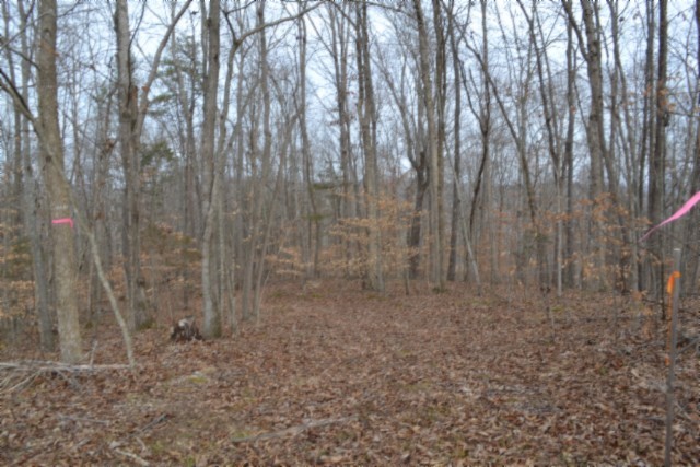 0 Garrett Town Lane Monroe TN 38573