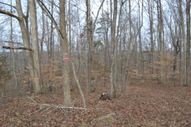 0 Garrett Town Lane Monroe TN 38573