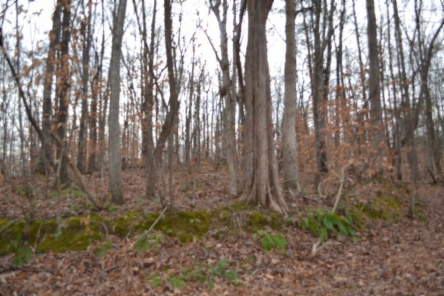 0 Garrett Town Lane Monroe TN 38573