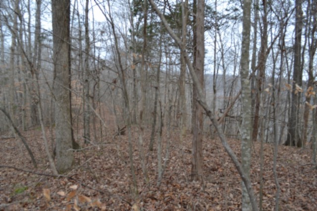 0 Garrett Town Lane Monroe TN 38573