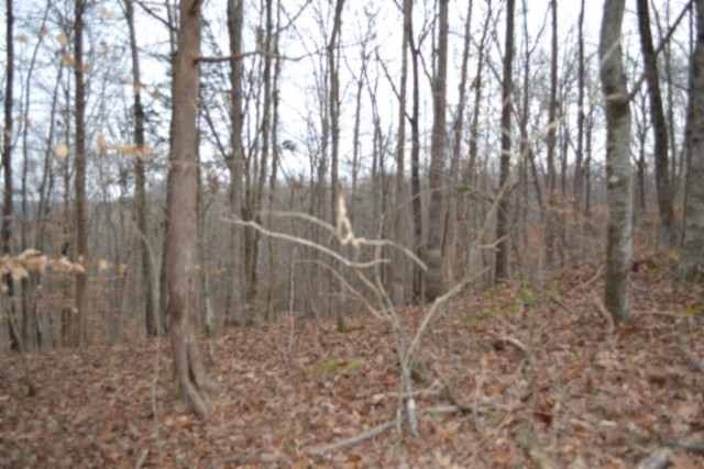 0 Garrett Town Lane Monroe TN 38573