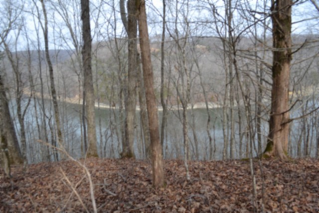 0 Garrett Town Lane Monroe TN 38573