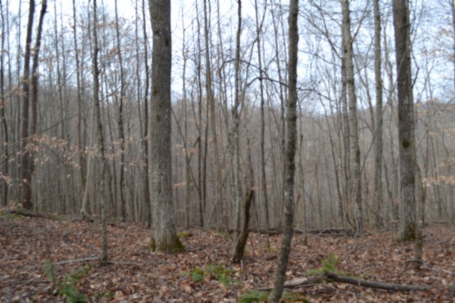 0 Garrett Town Lane Monroe TN 38573