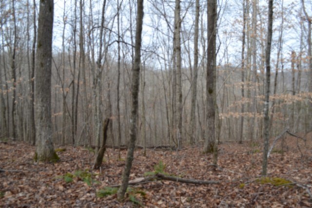 0 Garrett Town Lane Monroe TN 38573