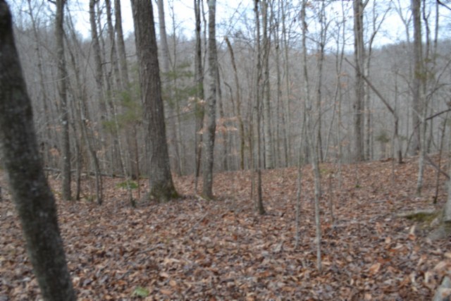 0 Garrett Town Lane Monroe TN 38573