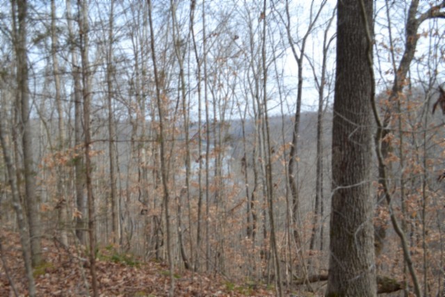 0 Garrett Town Lane Monroe TN 38573