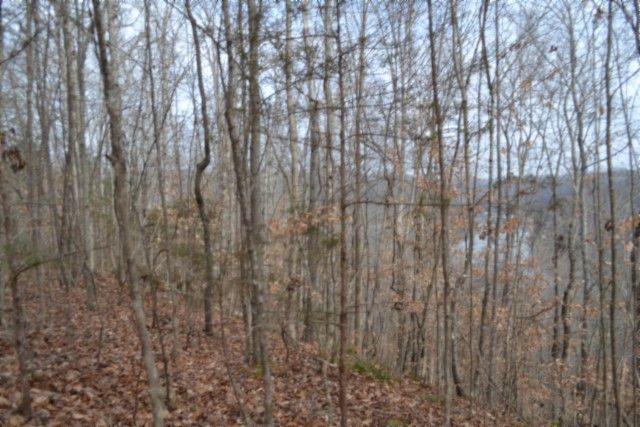 0 Garrett Town Lane Monroe TN 38573