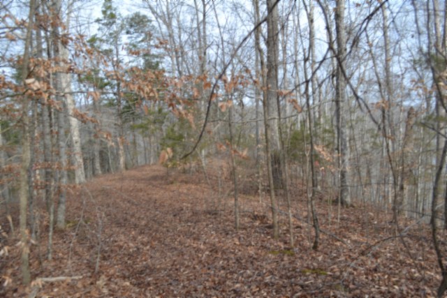 0 Garrett Town Lane Monroe TN 38573