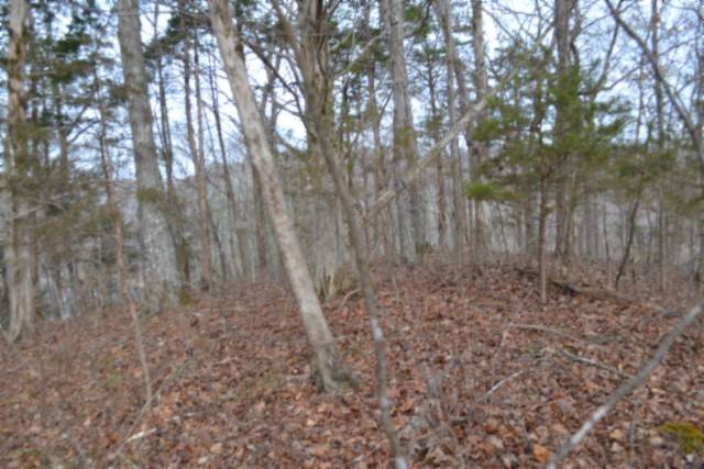 0 Garrett Town Lane Monroe TN 38573