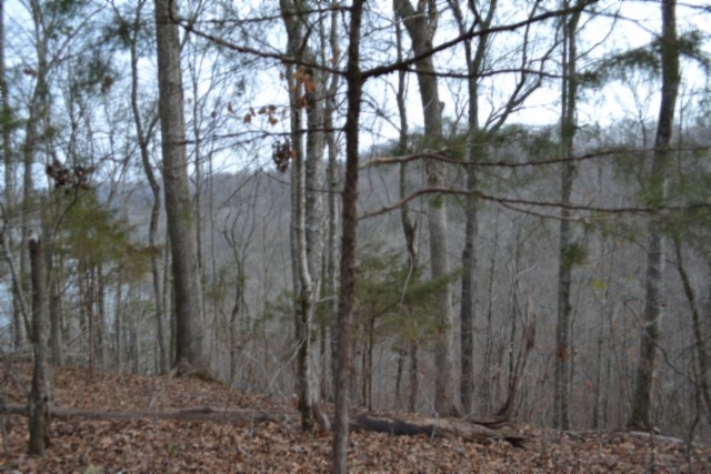 0 Garrett Town Lane Monroe TN 38573