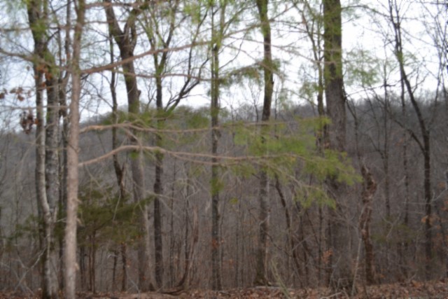 0 Garrett Town Lane Monroe TN 38573
