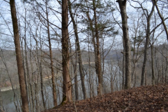 0 Garrett Town Lane Monroe TN 38573