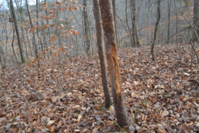 0 Garrett Town Lane Monroe TN 38573