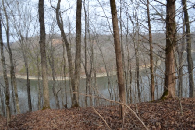 0 Garrett Town Lane Monroe TN 38573