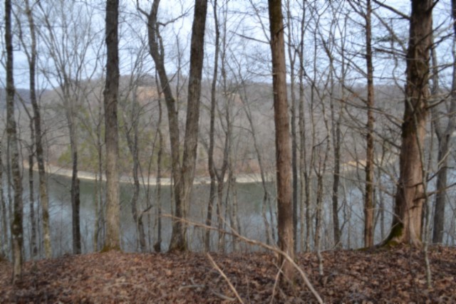 0 Garrett Town Lane Monroe TN 38573