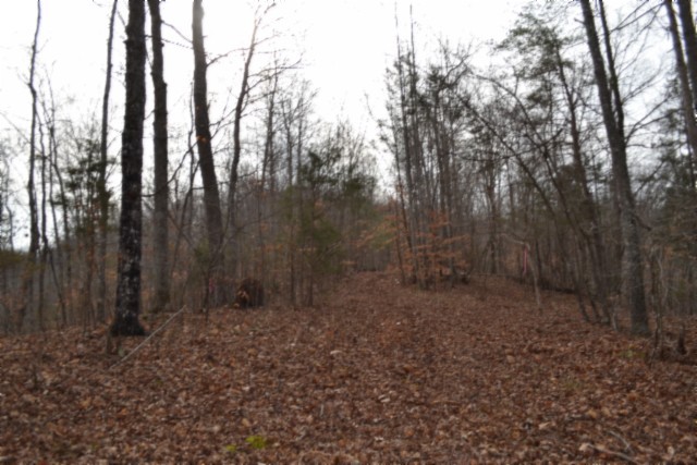 0 Garrett Town Lane Monroe TN 38573