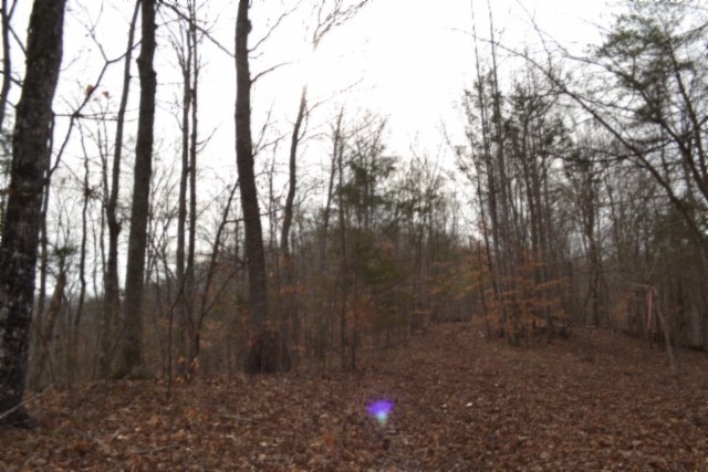 0 Garrett Town Lane Monroe TN 38573