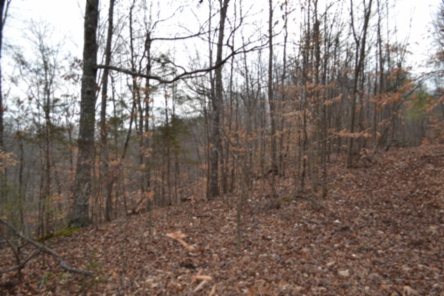 0 Garrett Town Lane Monroe TN 38573