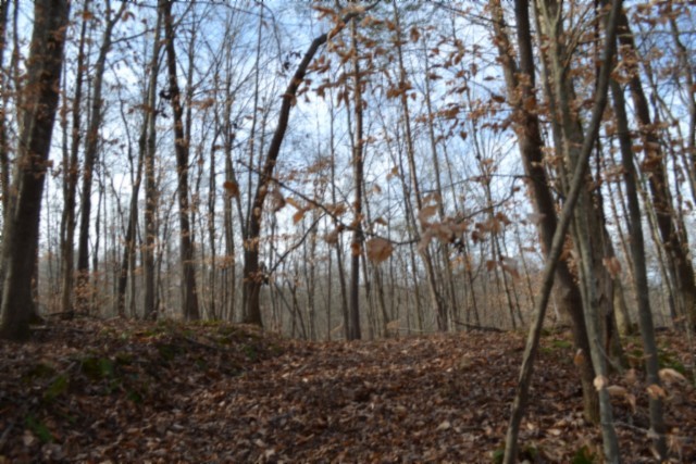 0 Garrett Town Lane Monroe TN 38573
