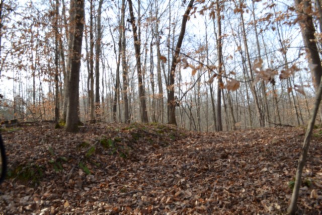 0 Garrett Town Lane Monroe TN 38573