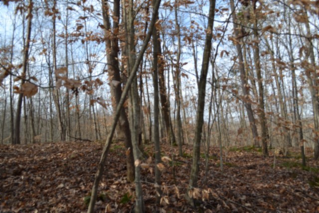 0 Garrett Town Lane Monroe TN 38573