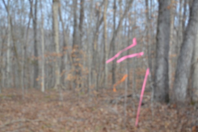 0 Garrett Town Lane Monroe TN 38573