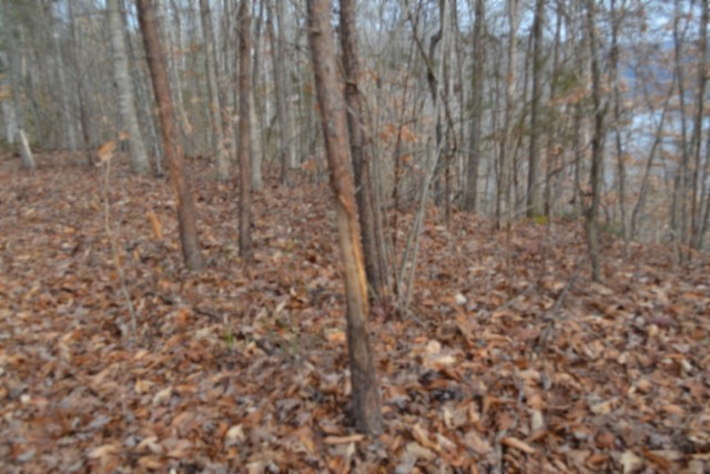 0 Garrett Town Lane Monroe TN 38573