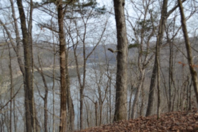 0 Garrett Town Lane Monroe TN 38573