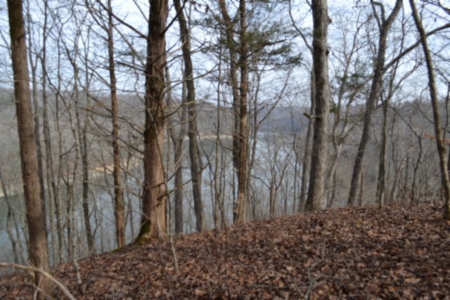 0 Garrett Town Lane Monroe TN 38573