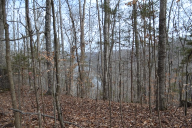 0 Garrett Town Lane Monroe TN 38573