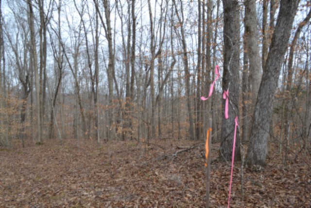 0 Garrett Town Lane Monroe TN 38573