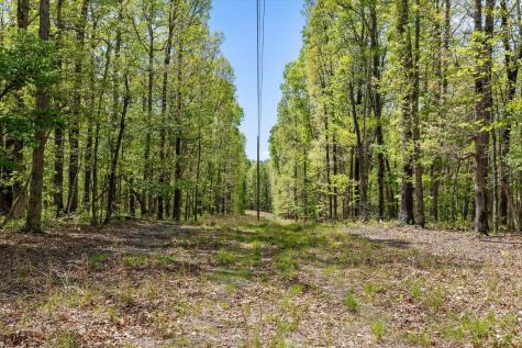 0 Deepwoods Road Sewanee TN 37375
