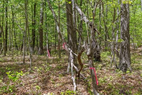 0 Deepwoods Road Sewanee TN 37375