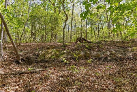 0 Deepwoods Road Sewanee TN 37375
